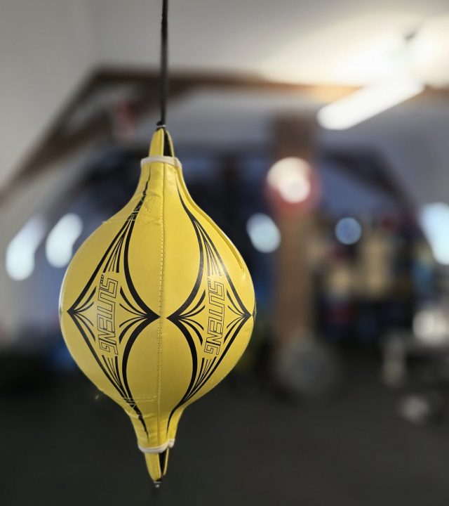 speedball